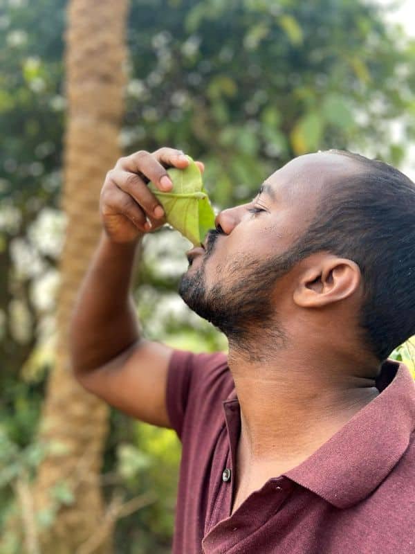 A Santhal Villager Having Jaggery From A Leaf Vessle